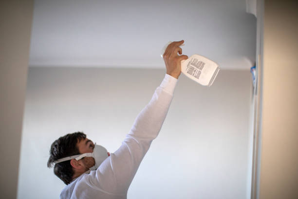 Best Mold Removal Near Me  in Pontiac, MI