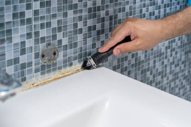 Best Mold Remediation  in Pontiac, MI